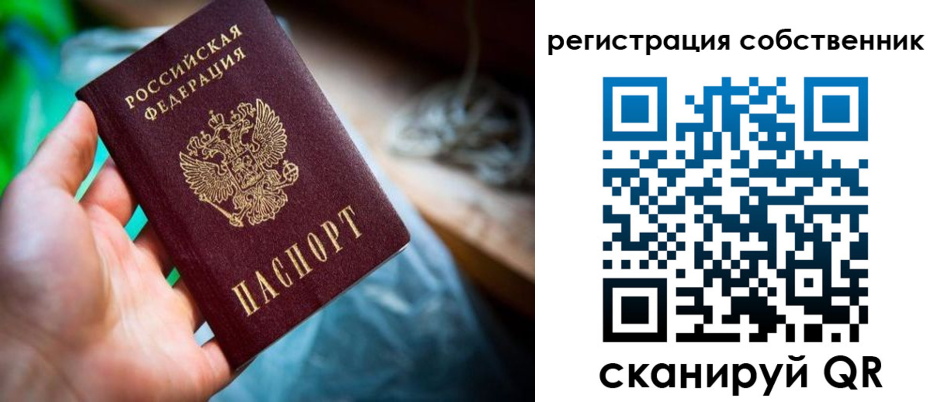 прописка гарантия в Новошахтинске